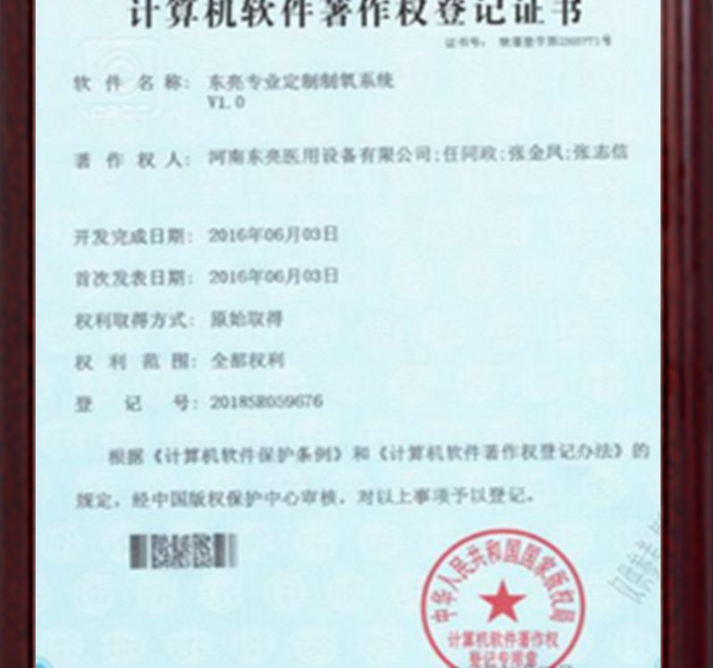 东亮专业定制制氧系统