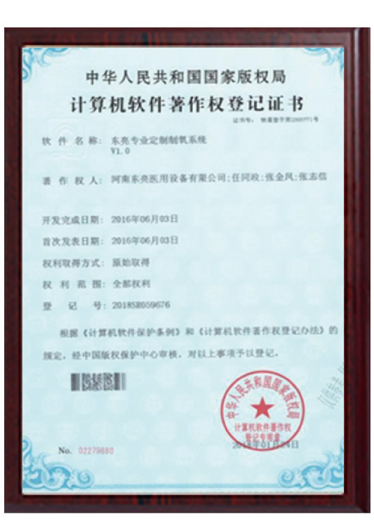 东亮专业定制制氧系统